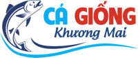 Trại cá giống Khương Mai